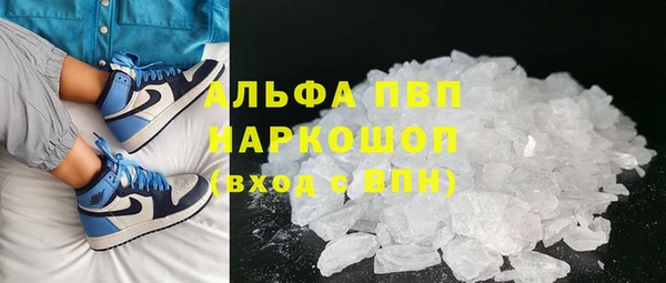 сатива Новокубанск