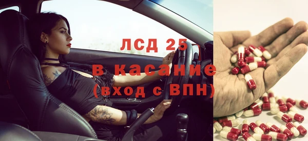 сатива Новокубанск