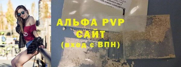соль ск Новозыбков