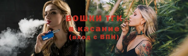 соль ск Новозыбков