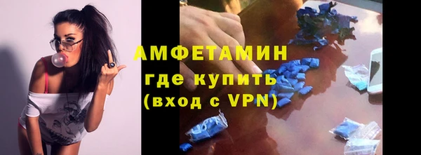 соль ск Новозыбков