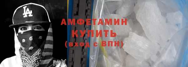 сатива Новокубанск