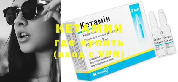 сатива Новокубанск
