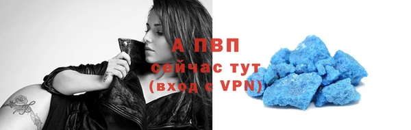 соль ск Новозыбков