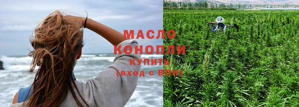 сатива Новокубанск