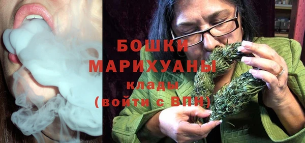 соль ск Новозыбков