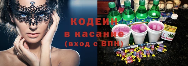 соль ск Новозыбков
