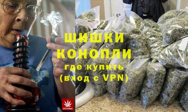 сатива Новокубанск