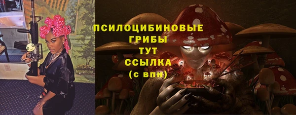 соль ск Новозыбков