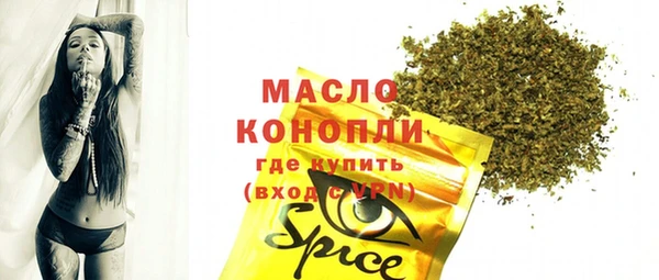 соль ск Новозыбков