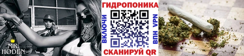 Бошки марихуана AK-47  купить наркоту  Сурск 